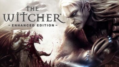 The Witcher 1